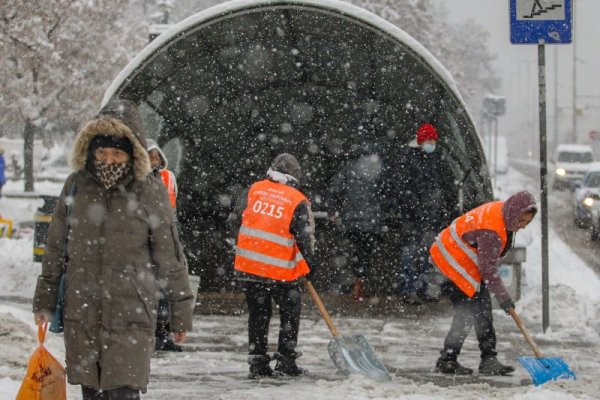 Снимка: Димитър Кьосемарлиев, Dnes.bg