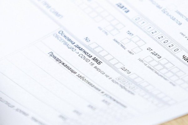 Снимка: Димитър Кьосемарлиев, Dnes.bg
&nbsp;