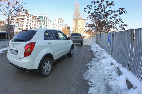 Снимка: Димитър Кьосемарлиев, Dnes.bg