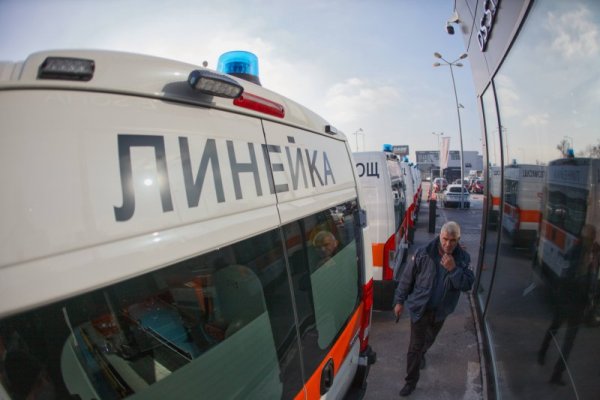 Снимка: Димитър Кьосемарлиев, Dnes.bg