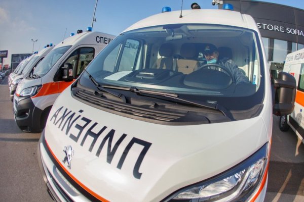 Снимка: Димитър Кьосемарлиев, Dnes.bg