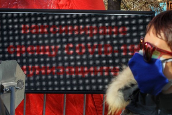 Снимка: Димитър Кьосемарлиев, Dnes.bg