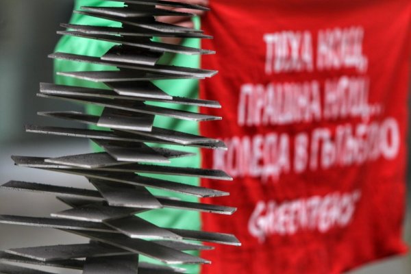 Снимка: Димитър Кьосемарлиев, Dnes.bg
