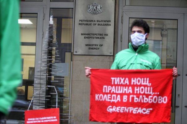 Снимка: Димитър Кьосемарлиев, Dnes.bg