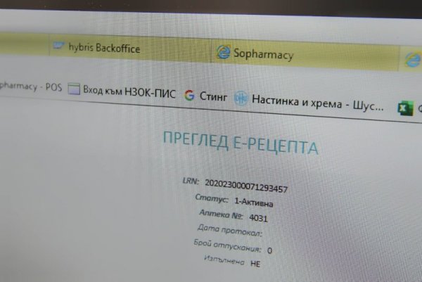 Снимка: Димитър Кьосемарлиев, Dnes.bg