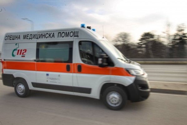 Снимка: Димитър Кьосемарлиев, Dnes.bg