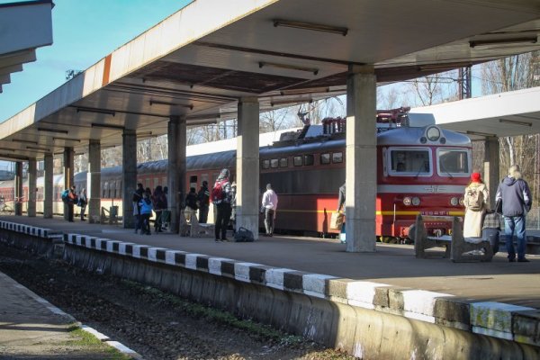 Снимка: Димитър Кьосемарлиев, Dnes.bg