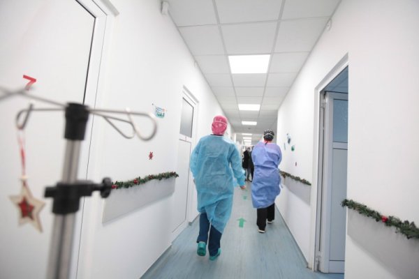 Снимка: Димитър Кьосемарлиев, Dnes.bg