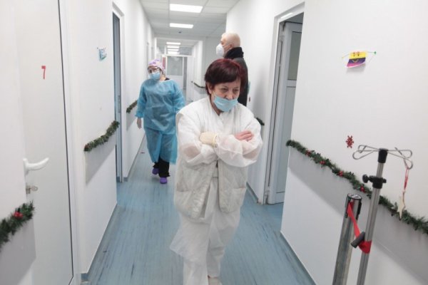 Снимка: Димитър Кьосемарлиев, Dnes.bg