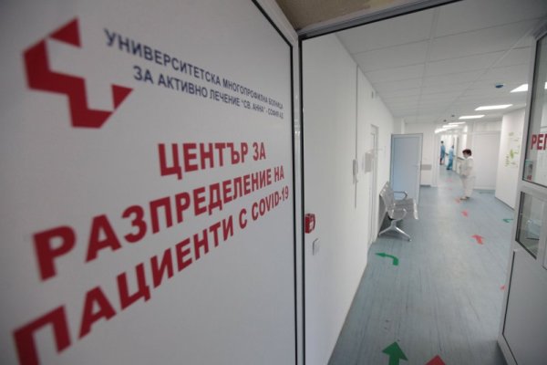 Снимка: Димитър Кьосемарлиев, Dnes.bg