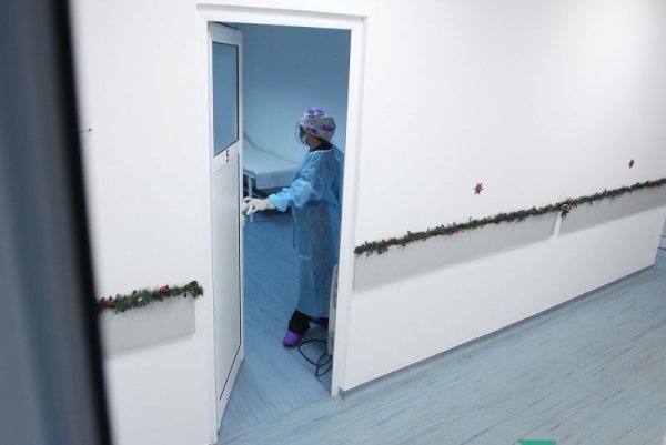 Снимка: Димитър Кьосемарлиев, Dnes.bg