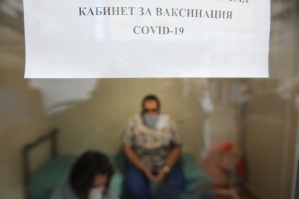 Снимка: Димитър Кьосемарлиев, Dnes.bg