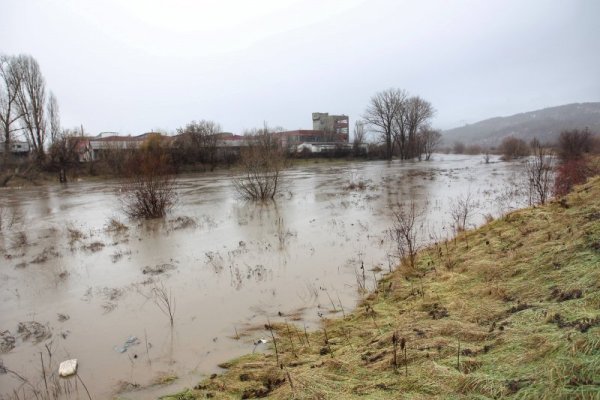 Снимка: Димитър Кьосемарлиев, Dnes.bg