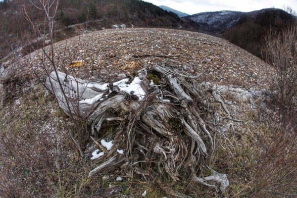 Снимка: Димитър Кьосемарлиев, Dnes.bg