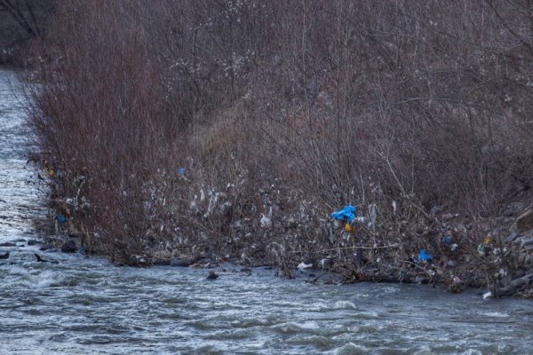 Снимка: Димитър Кьосемарлиев, Dnes.bg