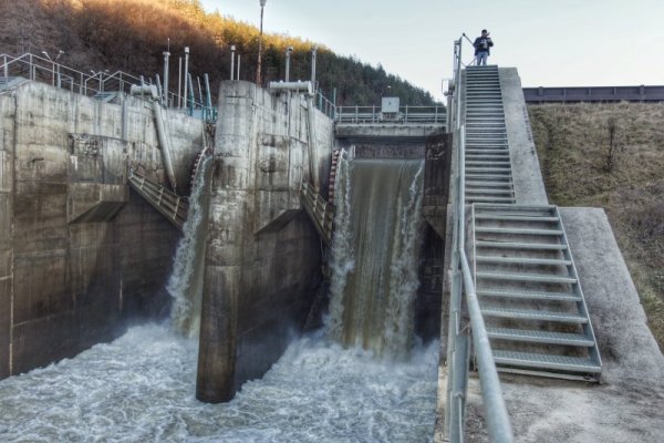 Снимка: Димитър Кьосемарлиев, Dnes.bg