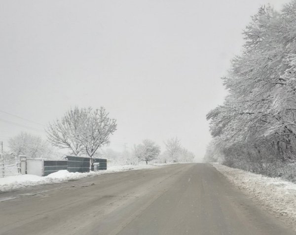Снимка: АПИ