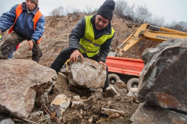 Снимка: Димитър Кьосемарлиев, Dnes.bg
