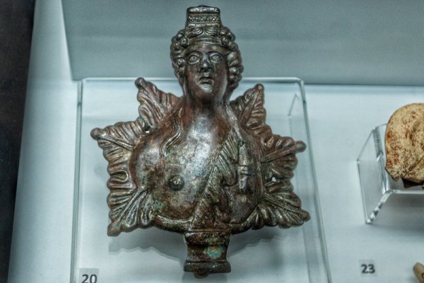 Снимка: Димитър Кьосемарлиев, Dnes.bg