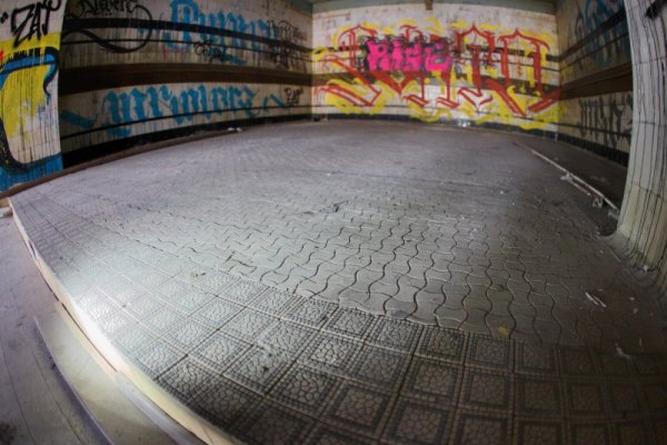 Снимка: Димитър Кьосемарилев, Dnes.bg