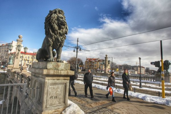 Снимка: Димитър Кьосемарлиев, Dnes.bg