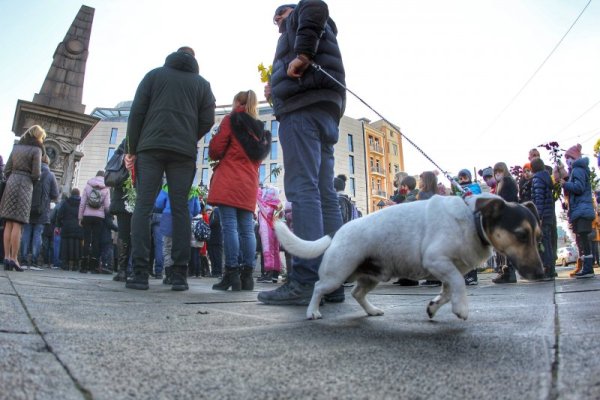 Снимка: Димитър Кьосемарлиев, Dnes.bg