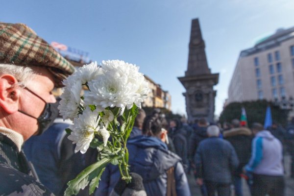 Снимка: Димитър Кьосемарлиев, Dnes.bg