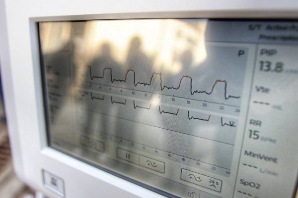 Снимка: Димитър Кьосемарлиев, Dnes.bg