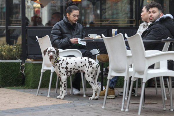 Снимка: Димитър Кьосемарлиев, Dnes.bg