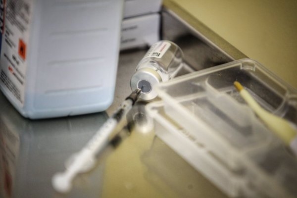 Снимка: Димитър Кьосемарлиев, Dnes.bg