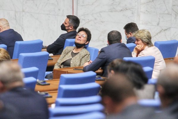 Снимка: Димитър Кьосемарлиев, Dnes.bg