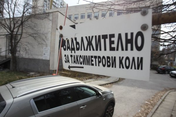 Снимка: Димитър Кьосемарлиев, Dnes.bg