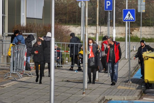 Снимка: Димитър Кьосемарлиев, Dnes.bg