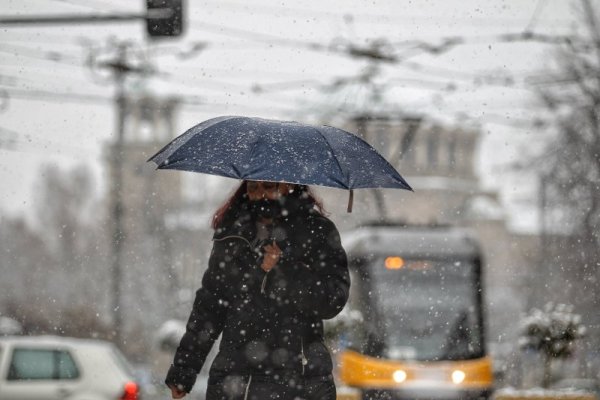 Снимка: Димитър Кьосемарлиев, Dnes.bg