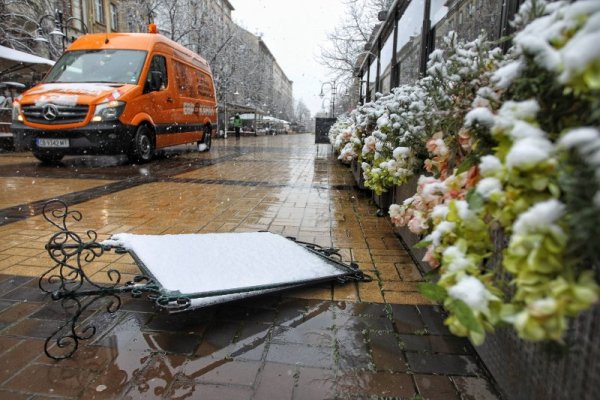 Снимка: Димитър Кьосемарлиев, Dnes.bg