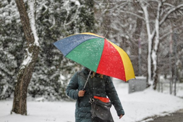 Снимка: Димитър Кьосемарлиев, Dnes.bg