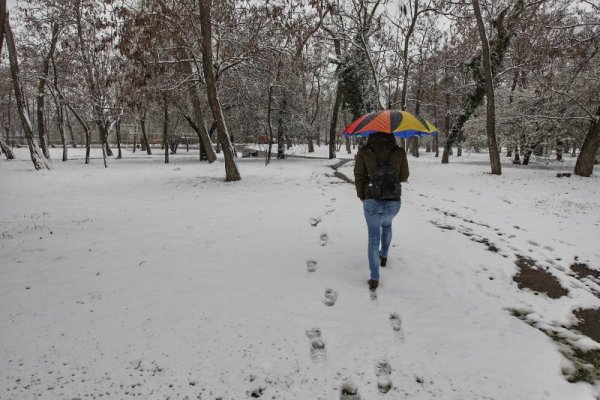 Снимка: Димитър Кьосемарлиев, Dnes.bg