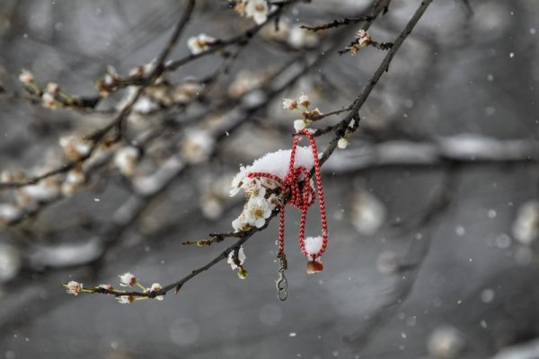 Снимка: Димитър Кьосемарлиев, Dnes.bg