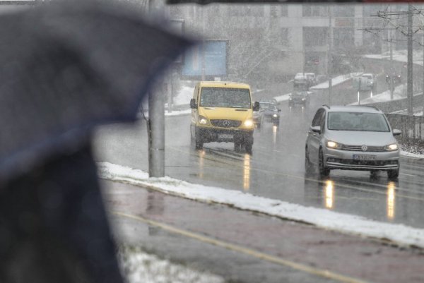 Снимка: Димитър Кьосемарлиев, Dnes.bg