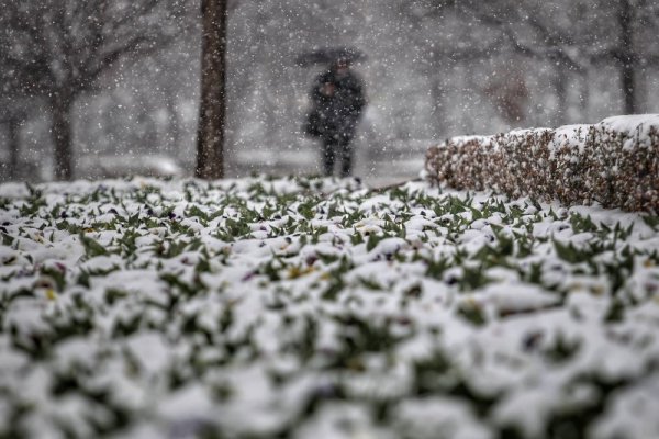 Снимка: Димитър Кьосемарлиев, Dnes.bg