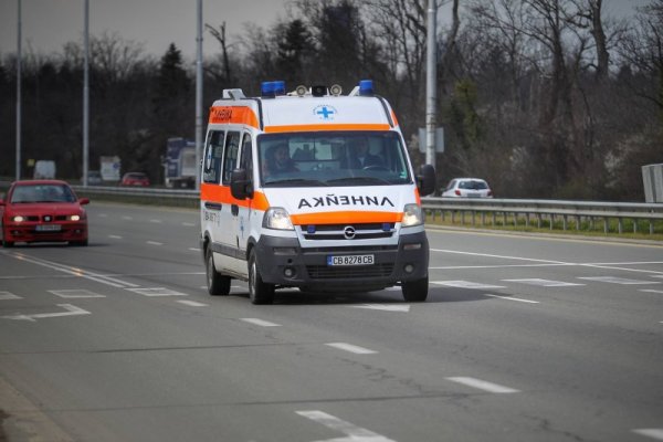 Снимка: Димитър Кьосемарлиев, Dnes.bg