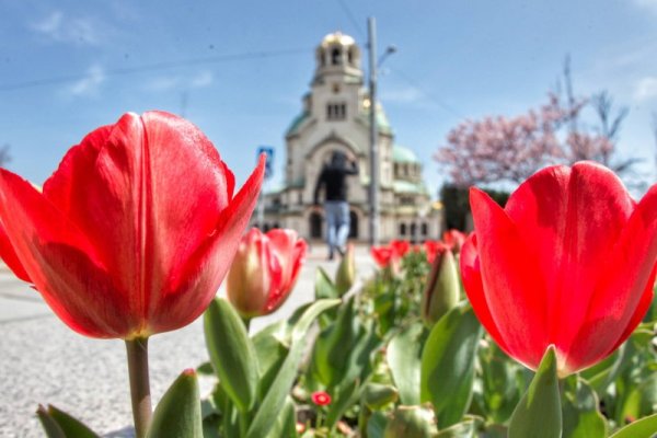 Снимка: Димитър Кьосемарлиев, Dnes.bg
