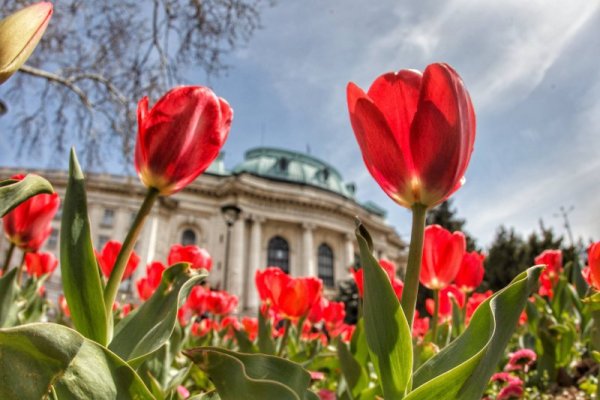 Снимка: Димитър Кьосемарлиев, Dnes.bg