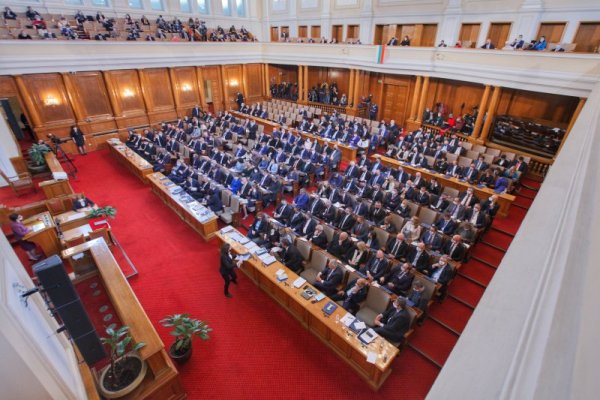 Снимка: Димитър Кьосемарлиев