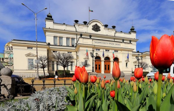 Композициите от пролетни цветя в София през тази пролет са повече от 10 декара. Освен в парковете и градините на столицата лалета са засадени и пред много емблематични сгради. Снимка: БГНЕС