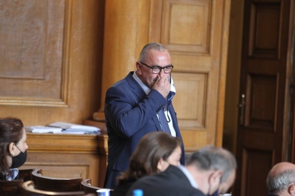 Снимка: Димитър Кьосемарлиев, Dnes.bg