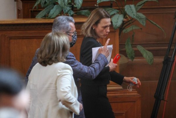 Снимка: Димитър Кьосемарлиев, Dnes.bg