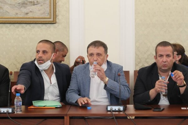 Снимка:Димитър Кьосемарлиев, Dnes.bg