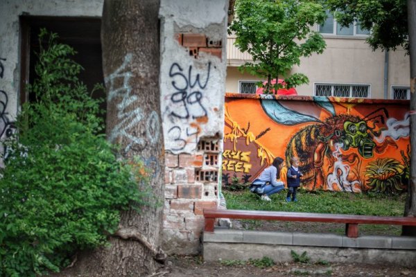 Снимка: Димитър Кьосемарлиев, Dnes.bg
