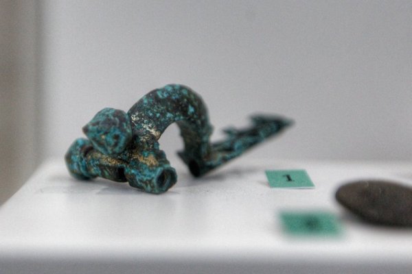 Снимка: Димитър Кьосемарлиев, Dnes.bg